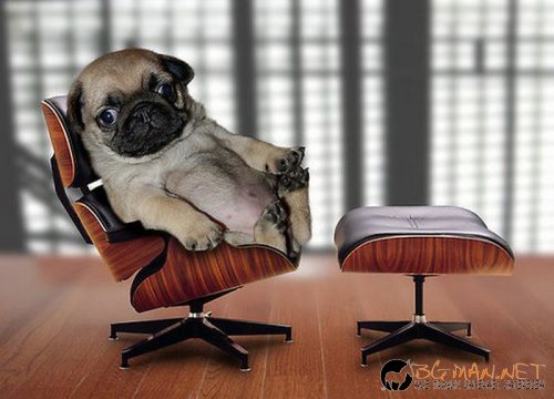 Най-интересните сниМки за днес - 11.06.2010 г.