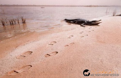 Най-интересните сниМки за днес - 11.06.2010 г.