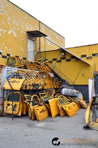 Най-интересните сниМки за днес - 11.06.2010 г.