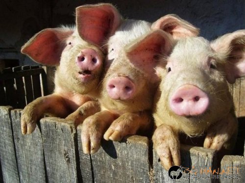 Най-интересните сниМки за днес - 11.06.2010 г.