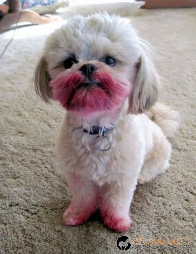 Най-интересните сниМки за днес - 11.06.2010 г.