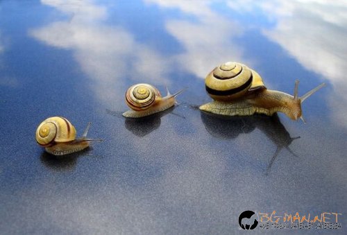 Най-интересните сниМки за днес - 11.06.2010 г.