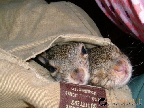 Най-интересните сниМки за днес - 11.06.2010 г.