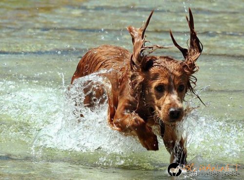 Най-интересните сниМки за днес - 11.06.2010 г.