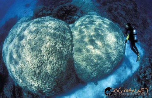 Най-интересните сниМки за днес - 11.06.2010 г.