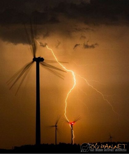 Най-интересните сниМки за днес - 11.06.2010 г.