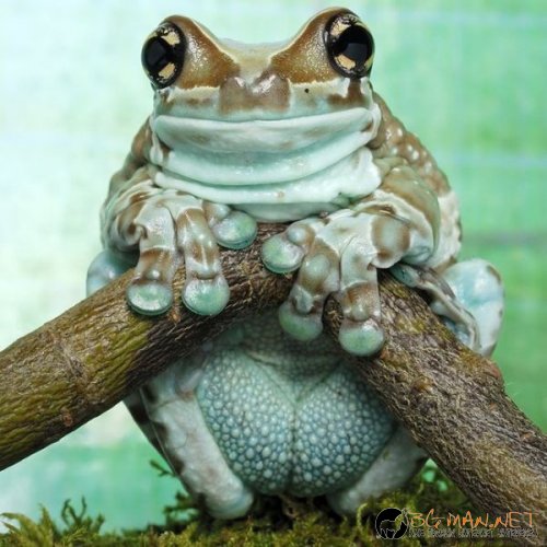 Най-интересните сниМки за днес - 11.06.2010 г.