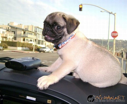 Най-интересните сниМки за днес - 11.06.2010 г.