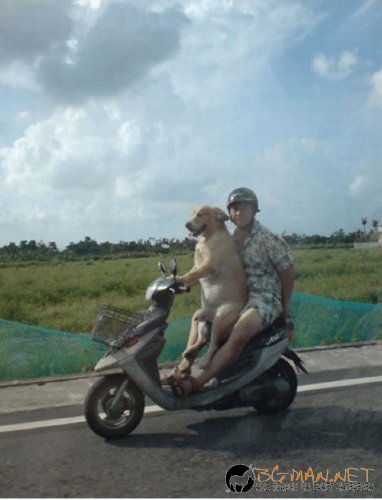 Най-интересните сниМки за днес - 11.06.2010 г.