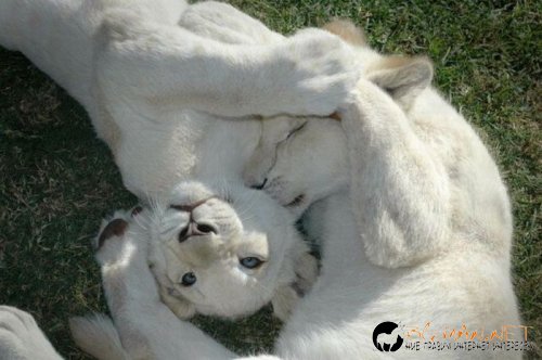 Най-интересните сниМки за днес - 11.06.2010 г.