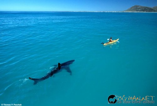 Най-интересните сниМки за днес - 11.06.2010 г.