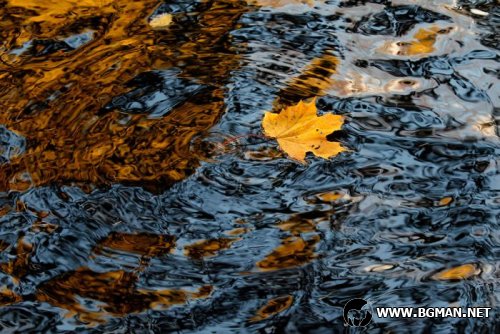 Есенна фотография